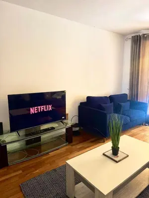 Télévision ou salle de divertissement dans l'établissement Grand Appartement Tour Eiffel Place Barcelone