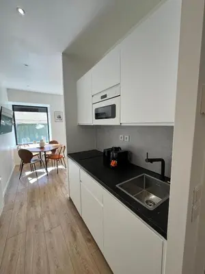 Cuisine ou kitchenette dans l'établissement Comfy Studio, Paris South