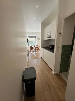 Cuisine ou kitchenette dans l'établissement Comfy Studio, Paris South