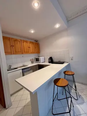 Cuisine ou kitchenette dans l'établissement Appartement Convention Fourcade