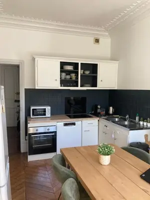Cuisine ou kitchenette dans l'établissement Very charming Haussmannian apartment with balcony