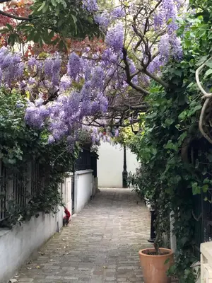 Jardin de l'établissement Unique House in the 16