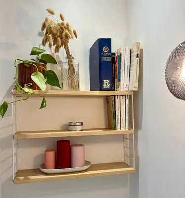 Bibliothèque dans l'appartement