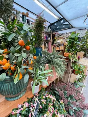 Jardin de l'établissement Beautiful new and comfortable studio 10min from Montmartre