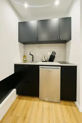 Cuisine ou kitchenette dans l'établissement Flat near Bois de Vincennes