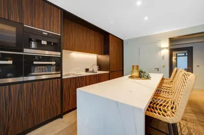 Cuisine ou kitchenette dans l'établissement Ultra luxury and garden!