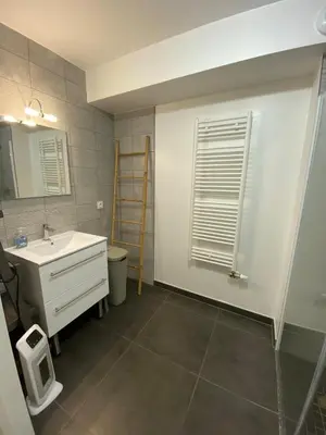 Salle de bains dans l'établissement Appartement 3 pièces - Proche Paris