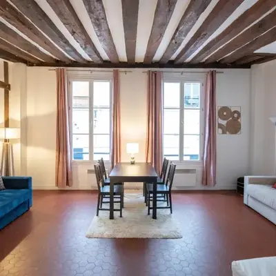 Fantastic apartment in Paris