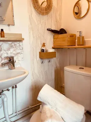 Salle de bains dans l'établissement Appartement Paris 15 Lourmel
