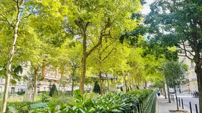 Jardin de l'établissement Quartier Tour-Eiffel Haussmann Art Lovers dream 1894