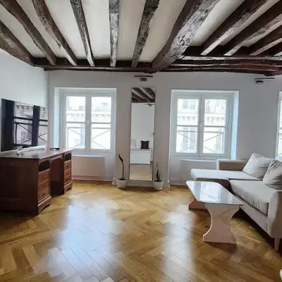 Elegant Haussmann apartment 50m G Lafayette