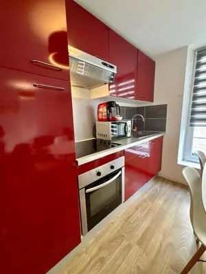 Cuisine ou kitchenette dans l'établissement Appartement Odéon Paris