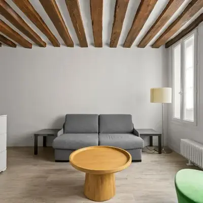 Appartement Typiquement Parisien