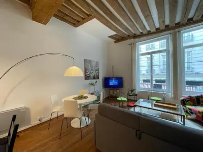 Télévision ou salle de divertissement dans l'établissement Delightful Dauphine Apartment Saint-Germain
