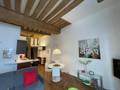 Télévision ou salle de divertissement dans l'établissement Delightful Dauphine Apartment Saint-Germain