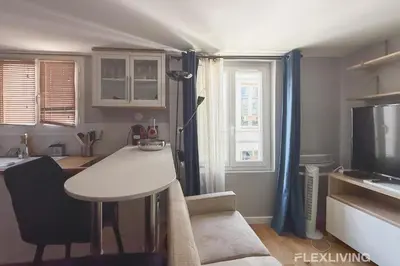 Télévision ou salle de divertissement dans l'établissement Charming 22m Studio in Paris 11