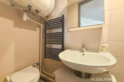 Salle de bains dans l'établissement Charming 22m Studio in Paris 11