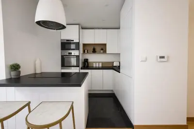 Cuisine ou kitchenette dans l'établissement Splendide Appartement à Issy les moulineaux