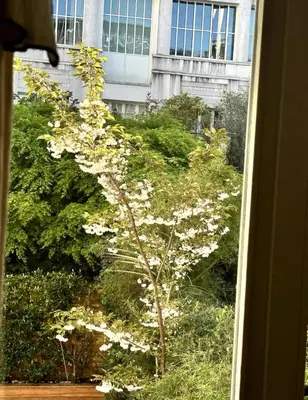 Jardin de l'établissement Architect Studio