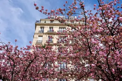 Plan de l'établissement New 458 Suite Chaplin - Cosy Apartment Paris Center