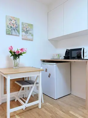 Cuisine ou kitchenette dans l'établissement Cozy Studio in Heart of Paris 10th