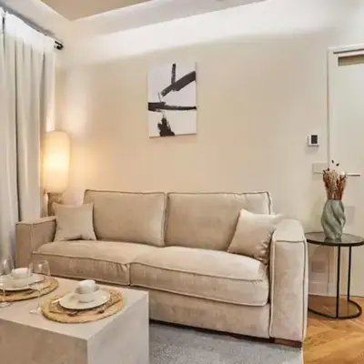 Superb air-conditioned flat on the Champs Elysées