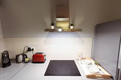 Cuisine ou kitchenette dans l'établissement Magnifique Appartement Quartier Opera Bastille !