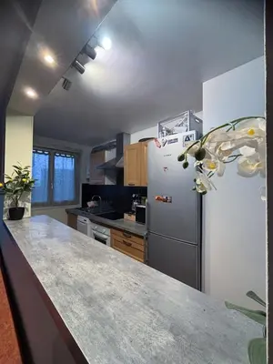 Cuisine ou kitchenette dans l'établissement Luxe 2 bedrooms Paris 14th & Montrouge
