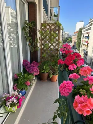 Bâtiment de l'appartement