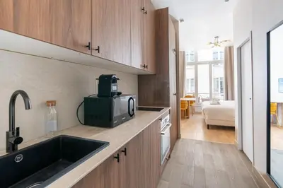 Cuisine ou kitchenette dans l'établissement Spacious Cosy Apartment for 2 Bastille Paris