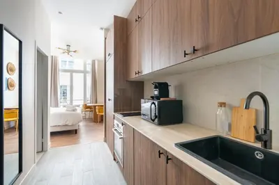 Cuisine ou kitchenette dans l'établissement New Studio for 2 near Bastille
