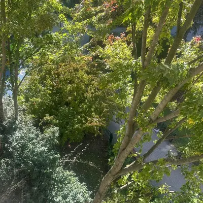 Jardin de l'établissement Azal france