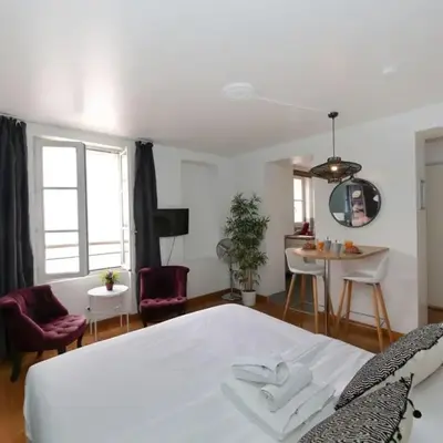 402 - Studio elegant et confortable a Paris 5