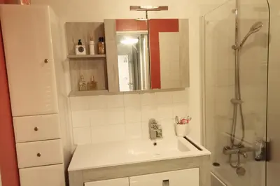 Salle de bains dans l'établissement Quiet stay in Boulogne-Billancourt near Paris