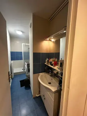 Salle de bains dans l'établissement Bel appartement asniere sur seine
