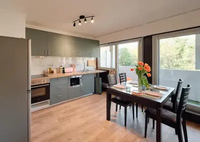 Cuisine ou kitchenette dans l'établissement Terrasse, appartement rénové dans le 15e arr