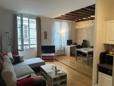 Télévision ou salle de divertissement dans l'établissement Parisian modern Flat 10 min walk to The Louvre