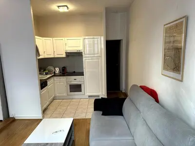 Cuisine ou kitchenette dans l'établissement Parisian modern Flat 10 min walk to The Louvre