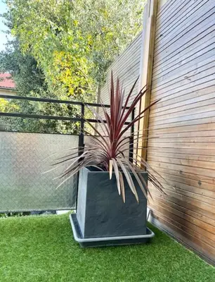 Jardin de l'établissement Cosy 2 pièces terrasse 15 minutes de Paris