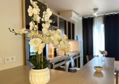 Plan de l'établissement Appartement 60m2 - 6 pers max - dernier étage - Parking gratuit - Paris Montrouge - Métro 4min - spacieux, calme et ensoleillé - Free Wifi