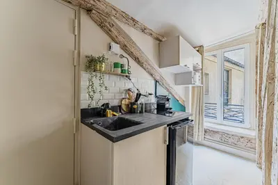 Cuisine ou kitchenette dans l'établissement Charming Studio close to Notre-Dame de Paris