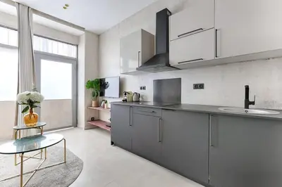 Cuisine ou kitchenette dans l'établissement Appartement de charme Belfort