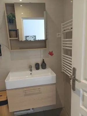 Salle de bains dans l'établissement Appartement cosy proche Paris