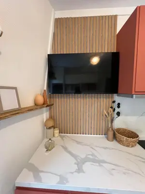 Télévision ou salle de divertissement dans l'établissement le nid de Bonsergent