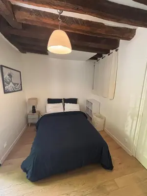 Un ou plusieurs lits dans un hébergement de l'établissement Cosy apartment in le Marais !