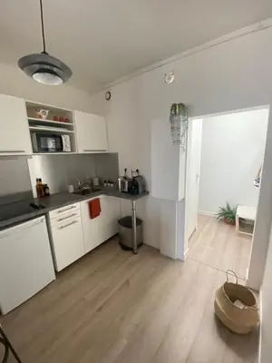 Cuisine ou kitchenette dans l'établissement Le studio parisien