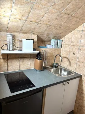 Cuisine ou kitchenette dans l'établissement Incroyable appartement Paris Montparnasse