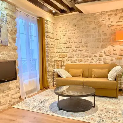 Paris Loft for 4 by Chatelet & Montorgueil & Metro N2-46