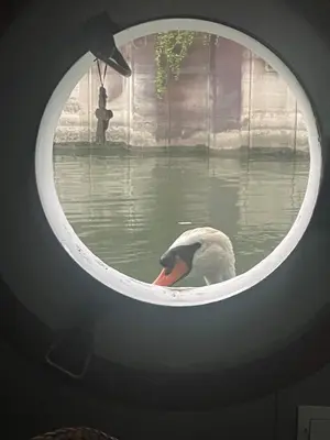 Vue sur la rivière ou le fleuve situé(e) à proximité de l'appartement