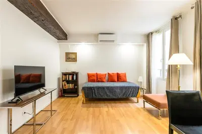 Télévision ou salle de divertissement dans l'établissement Large Flat Louvre Pont Neuf 48 M2